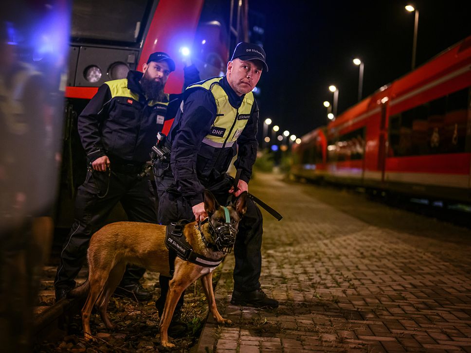 Separatwachdienst_mit_Hund_Doppelstreife_Abstellung_Max_Lautenschläger_DSC9892_1500x1000_bis_31.12.2099